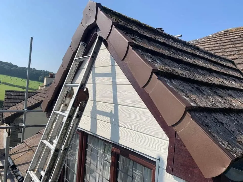 New fascias, bargeboards and guttering in Totnes
