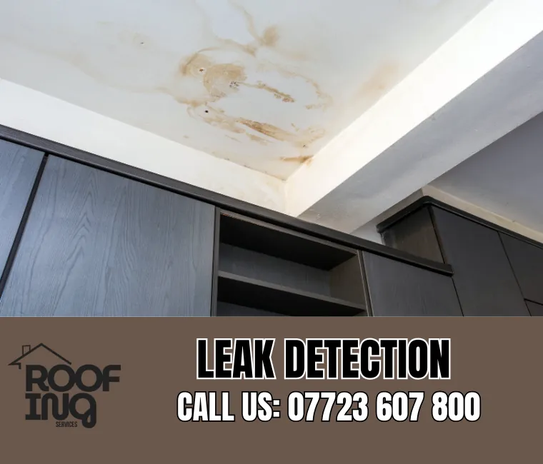 Roof leak detection and repair in Totnes