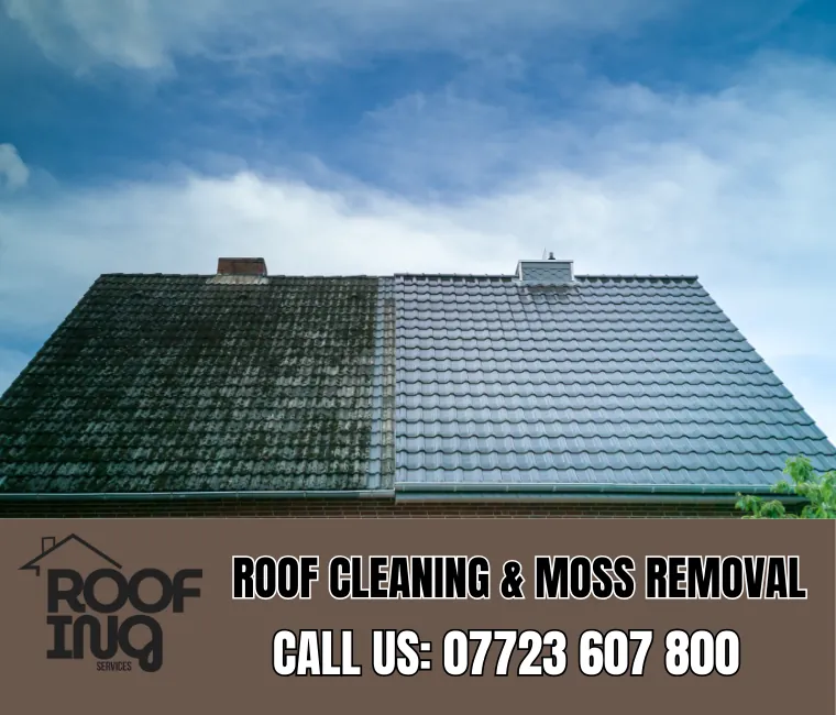 Roof cleaning and moss removal in Totnes